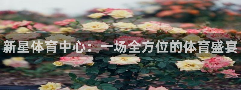 意昂体育4平台是正规平台吗知乎：新星体育中心：一场全