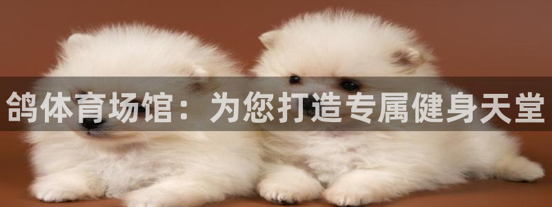 意昂4科技：鸽体育场馆：为您打造专属健身天堂