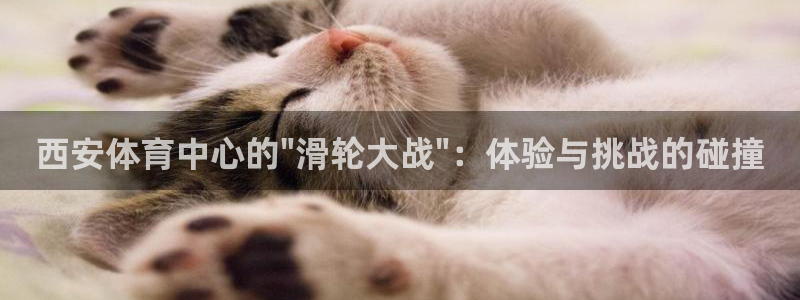 意昂体育4官方客服电话：西安体育中心的\