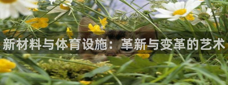 意昂4娱乐网站：新材料与体育设施：革新与变革的艺术