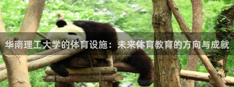 意昂4五金厂：华南理工大学的体育设施：未来体育教育的