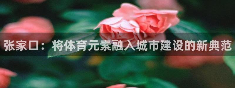 意昂4娱乐首页官网下载：张家口：将体育元素融入城市建