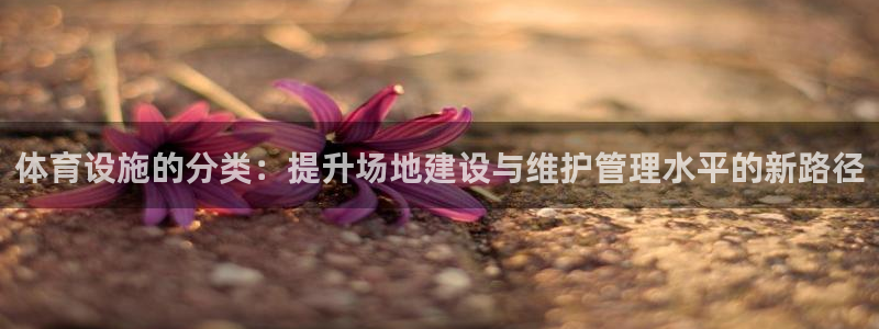 意昂体育4平台注册流程视频：体育设施的分类：提升场地