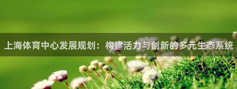 意昂4官网：上海体育中心发展规划：构建活力与创新的多