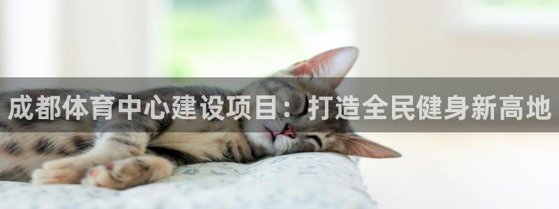 意昂平台体育：成都体育中心建设项目：打造全民健身新高