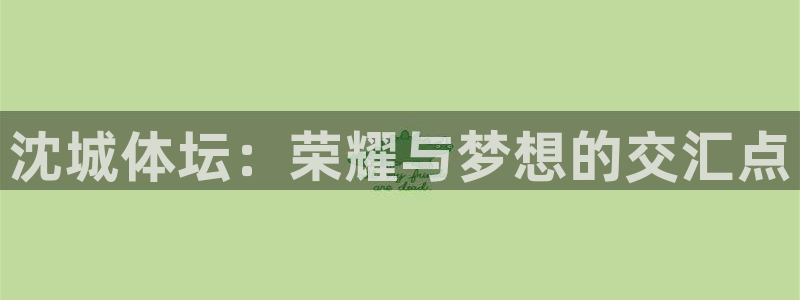 意昂4娱乐下载：沈城体坛：荣耀与梦想的交汇点
