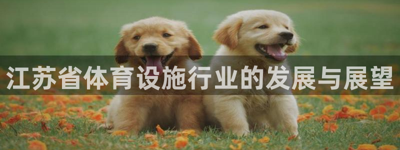 德国意昂4集团：江苏省体育设施行业的发展与展望
