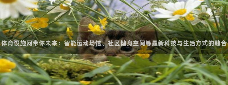 意昂体育4招商电话是多少啊：体育设施网带你未来：智能运动场馆