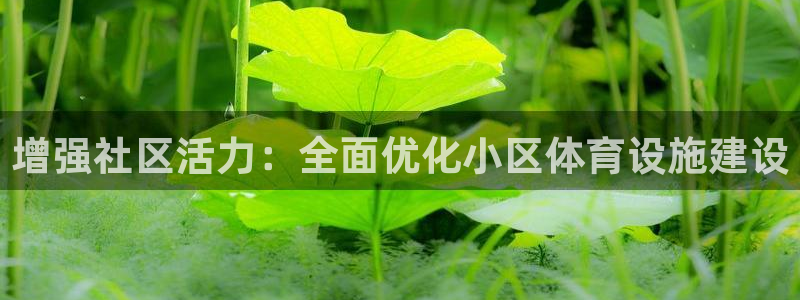意昂平台体育：增强社区活力：全面优化小区体育设施建设