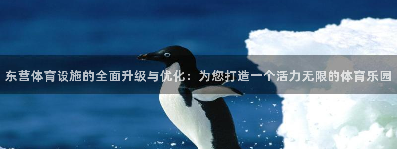 意昂4集团：东营体育设施的全面升级与优化：为您打造一个活力无