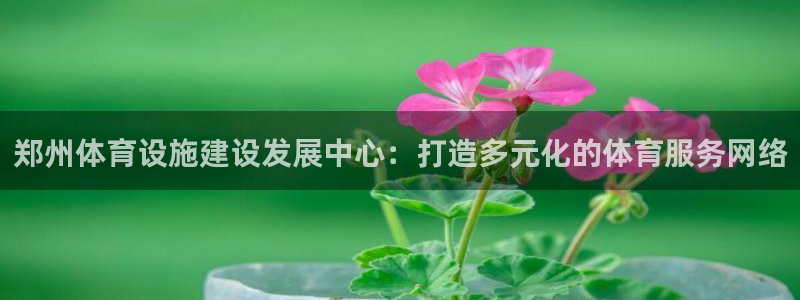 意昂4科技：郑州体育设施建设发展中心：打造多元化的体