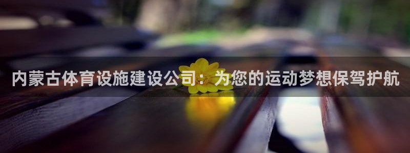 意昂4科技：内蒙古体育设施建设公司：为您的运动梦想保驾护航 
