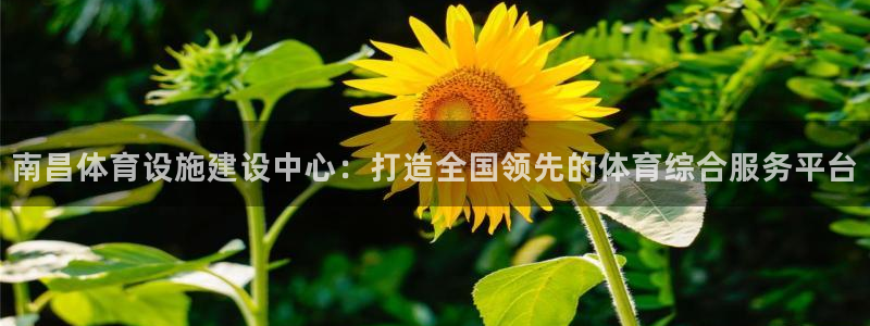 海南意昂体育4：南昌体育设施建设中心：打造全国领先的体育综合 