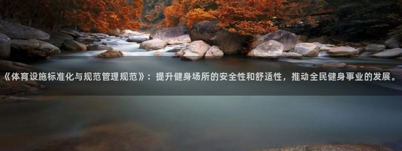德国意昂4集团：《体育设施标准化与规范管理规范》：提