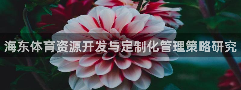 意昂4娱乐首页官网下载：海东体育资源开发与定制化管理