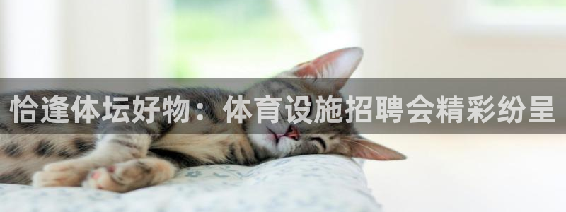 意昂体育4招商电话号码查询：恰逢体坛好物：体育设施招