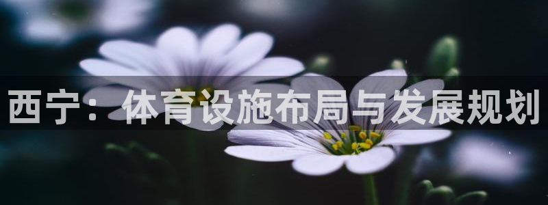 意昂4娱乐网站：西宁：体育设施布局与发展规划