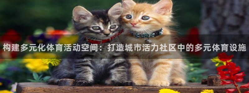意昂体育4软件：构建多元化体育活动空间：打造城市活力
