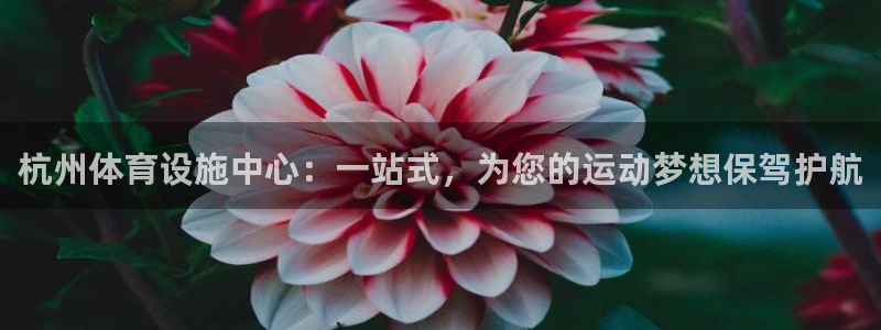 意昂体育4是干嘛的公司：杭州体育设施中心：一站式，为