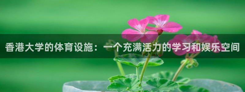 意昂体育4平台注册要钱吗安全吗：香港大学的体育设施：