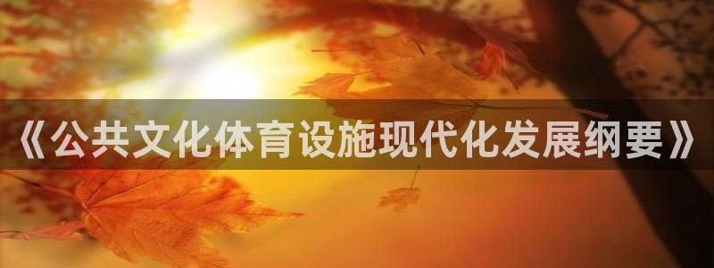 意昂体育4平台是正规平台吗：《公共文化体育设施现代化