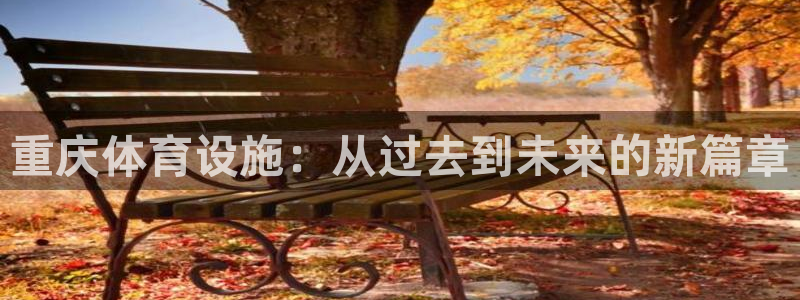 意昂4集团：重庆体育设施：从过去到未来的新篇章