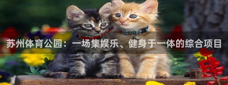意昂体育4平台：苏州体育公园：一场集娱乐、健身于一体