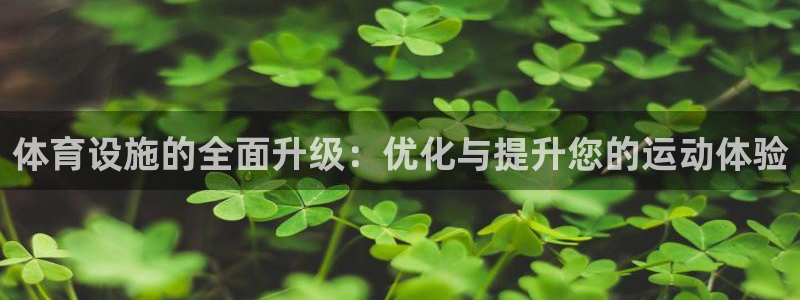 意昂体育4平台是正规平台吗知乎：体育设施的全面升级：