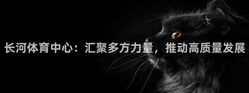 意昂4娱乐网站：长河体育中心：汇聚多方力量，推动高质