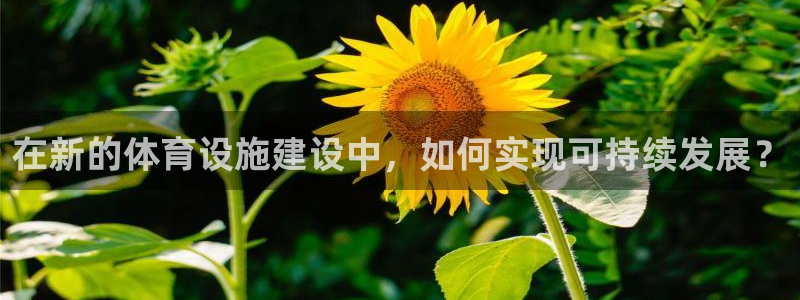 意昂4娱乐平台：在新的体育设施建设中，如何实现可持续