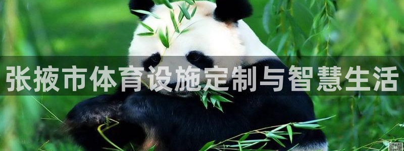 意昂4代理：张掖市体育设施定制与智慧生活
