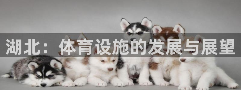 意昂体育4平台APP：湖北：体育设施的发展与展望