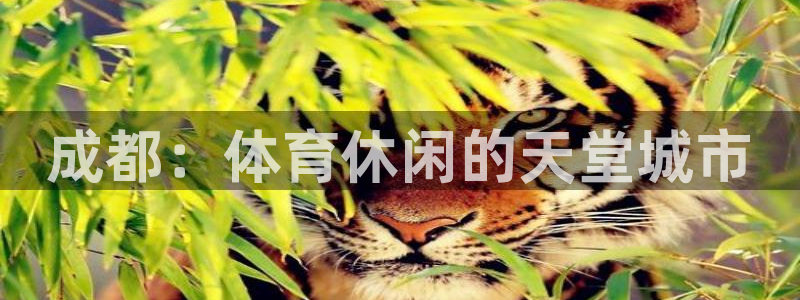 意昂体育4是干嘛的公司：成都：体育休闲的天堂城市