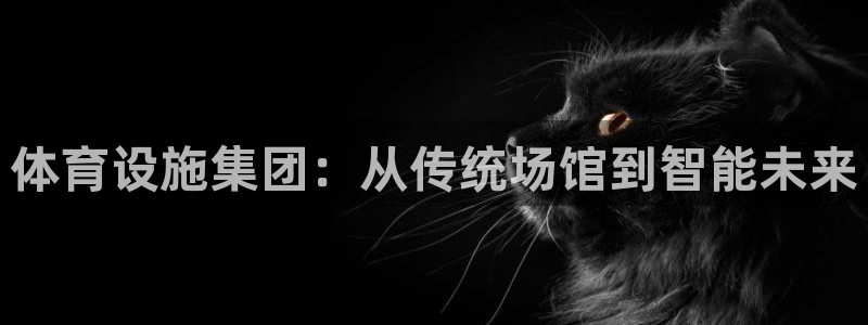 意昂体育4招商电话号码是多少啊：体育设施集团：从传统场馆到智