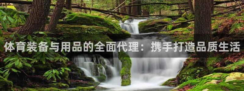意昂体育4招商电话：体育装备与用品的全面代理：携手打造品质生