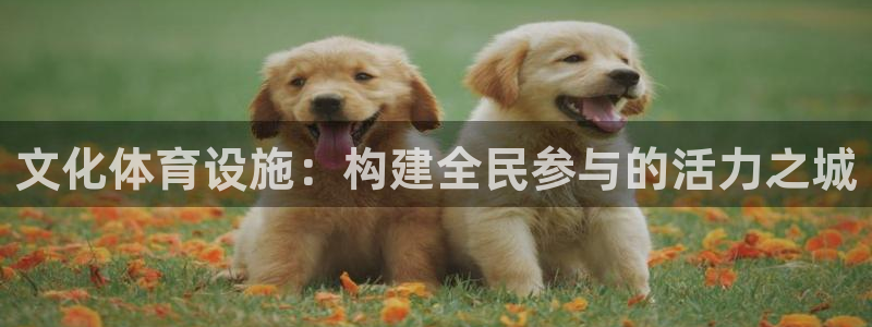 意昂体育4平台是正规平台吗安全吗：文化体育设施：构建全民参与