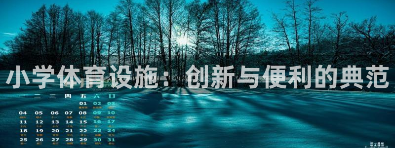 意昂4代理：小学体育设施：创新与便利的典范 