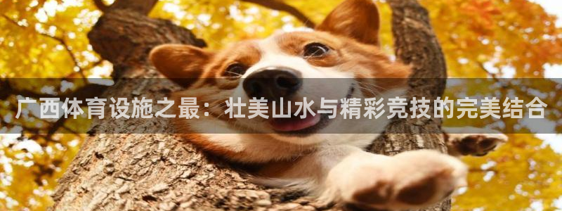 意昂4新能源：广西体育设施之最：壮美山水与精彩竞技的完美结合