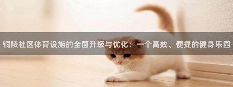 意昂集团官网：铜陵社区体育设施的全面升级与优化：一个