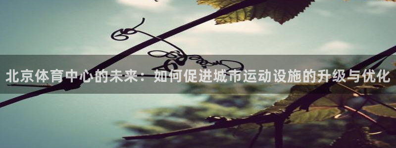意昂4娱乐是那个系列的台子：北京体育中心的未来：如何