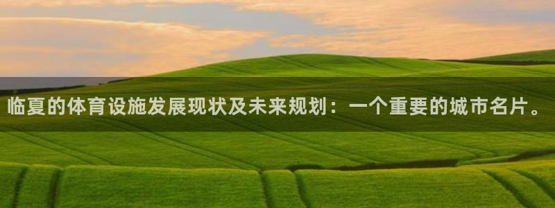 意昂4科技：临夏的体育设施发展现状及未来规划：一个重