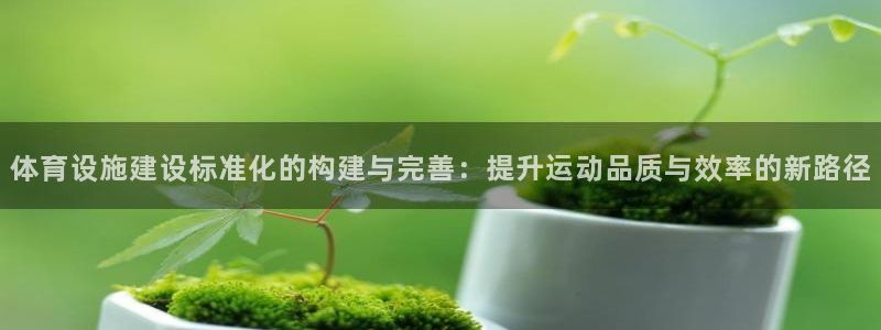 意昂4官方：体育设施建设标准化的构建与完善：提升运动