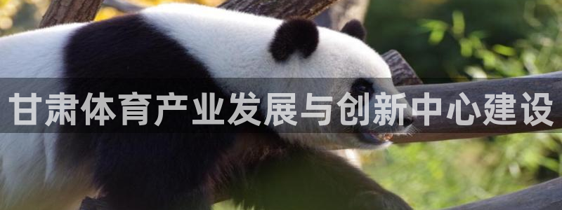 意昂体育4招商：甘肃体育产业发展与创新中心建设
