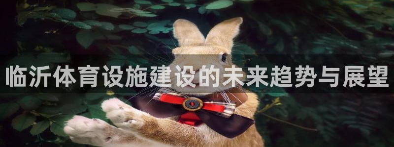 意昂4娱乐首页网站大全：临沂体育设施建设的未来趋势与