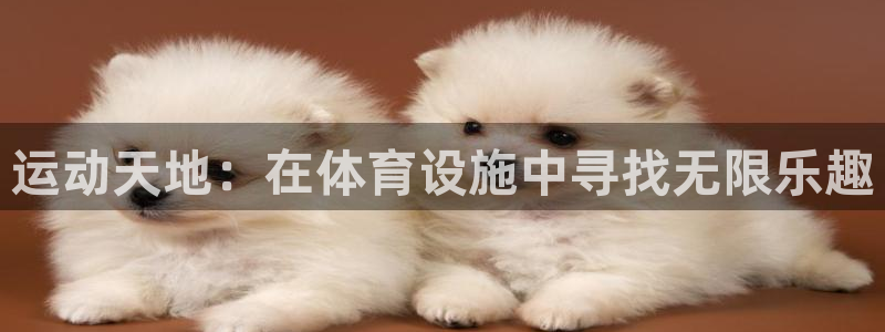 意昂体育4招商电话：运动天地：在体育设施中寻找无限乐