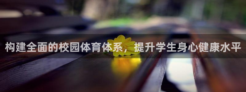 意昂体育4招商电话号码：构建全面的校园体育体系，提升