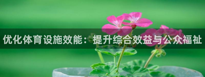 意昂体育4平台假的吗是真的吗：优化体育设施效能：提升