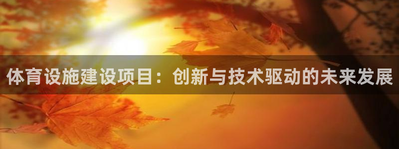 意昂体育4平台是正规平台吗：体育设施建设项目：创新与