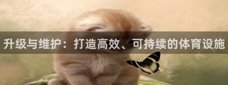 意昂4集团官网网址：升级与维护：打造高效、可持续的体