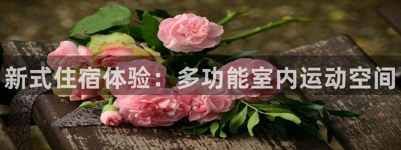 意昂体育4招商电话是多少号码：新式住宿体验：多功能室